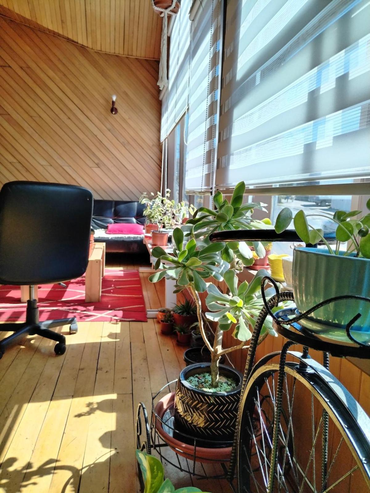 קסטרו Habitacion Manio מראה חיצוני תמונה
